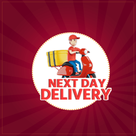 0214039 next day delivery 450