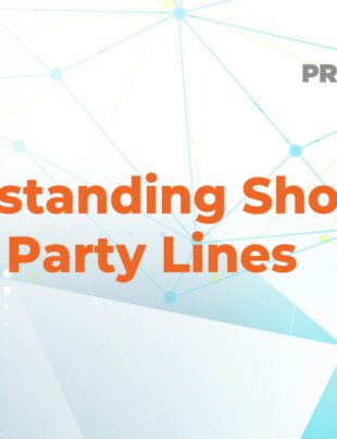 Understanding Shoppers Along Party Lines