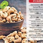 BSRM to invest Tk 50cr in cashew nut processing plant