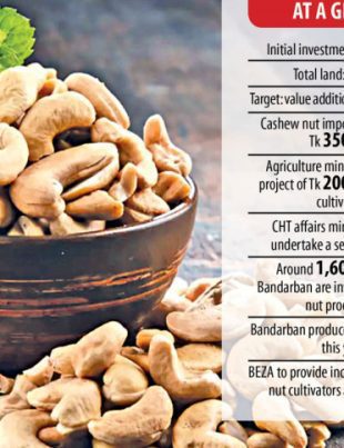 BSRM to invest Tk 50cr in cashew nut processing plant