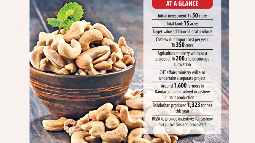 BSRM to invest Tk 50cr in cashew nut processing plant