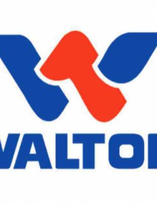 Walton’s profit declines nearly 26%