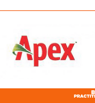 Half-yearly performance boosts Apex Footwear's market cap by 9.44%