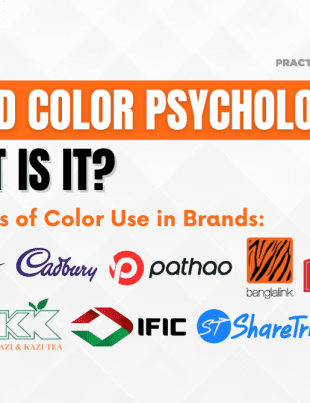 Brand Color Psychology What Is It