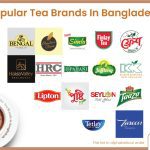 Popular Tea Brands in Bangladesh