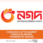 Cashless cattle market thrives in Singra, powered by Nagad