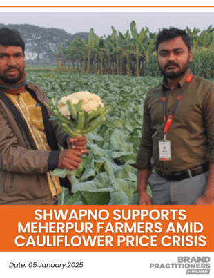 Shwapno Supports Meherpur Farmers Amid Cauliflower Price Crisis_web